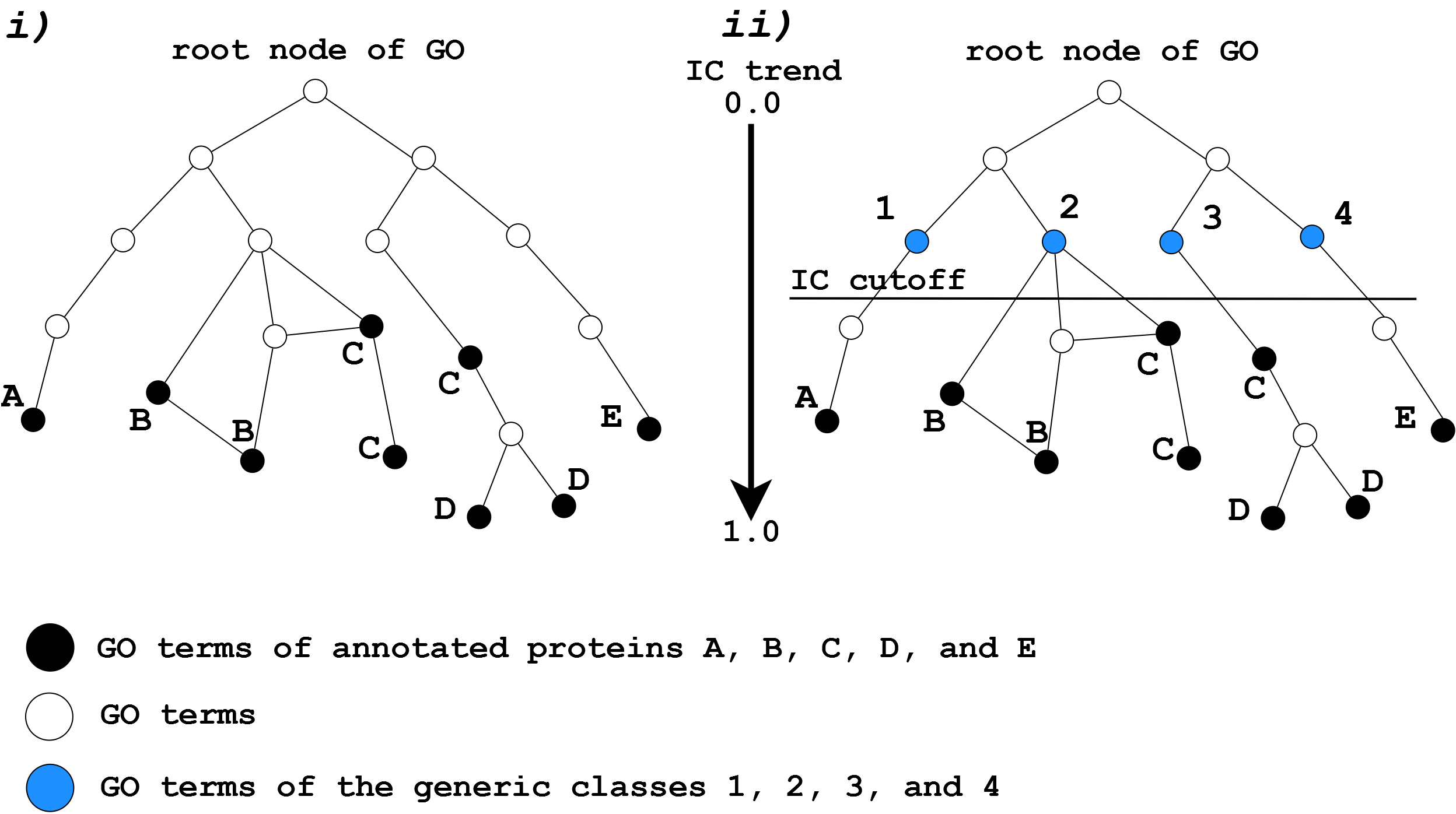 GOClass scheme